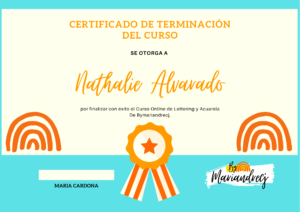Naranja-Azul-Curso-Insignia-Certificado-300x212
